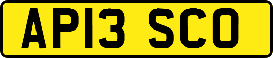 AP13SCO