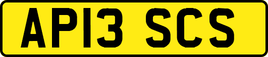 AP13SCS