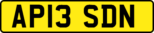 AP13SDN