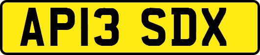 AP13SDX