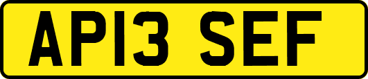 AP13SEF