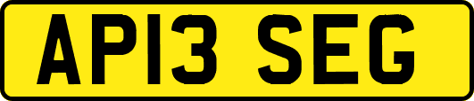 AP13SEG