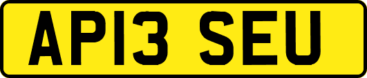AP13SEU