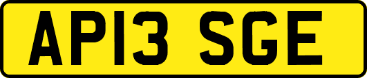 AP13SGE