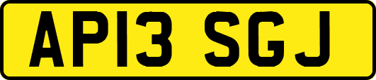 AP13SGJ