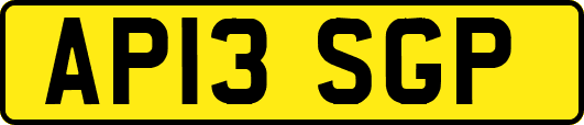 AP13SGP