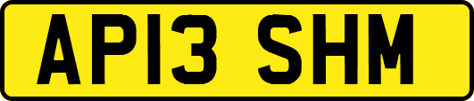 AP13SHM