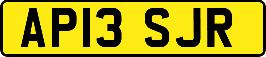 AP13SJR