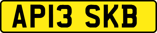 AP13SKB