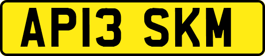 AP13SKM