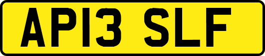 AP13SLF