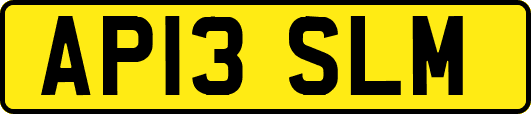 AP13SLM