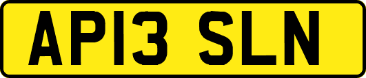 AP13SLN