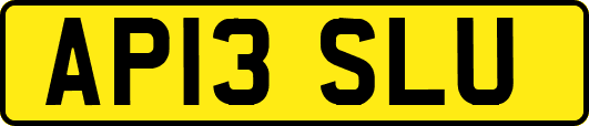 AP13SLU