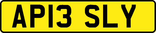 AP13SLY
