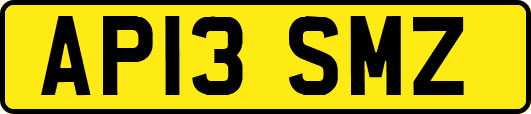 AP13SMZ