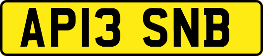 AP13SNB