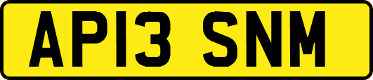AP13SNM
