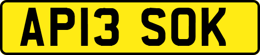 AP13SOK