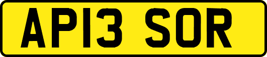 AP13SOR