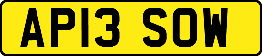 AP13SOW