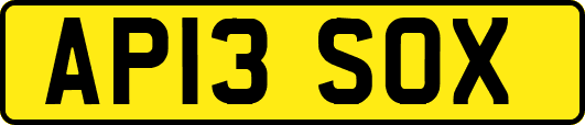 AP13SOX