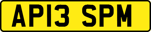 AP13SPM