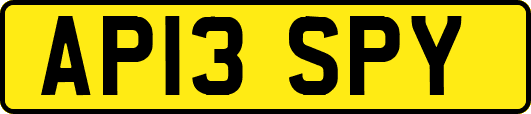 AP13SPY