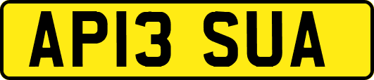 AP13SUA
