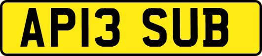 AP13SUB