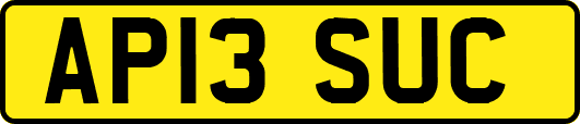 AP13SUC