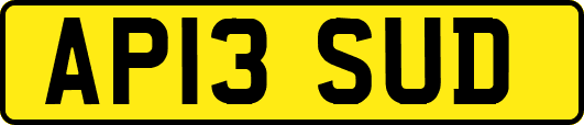AP13SUD
