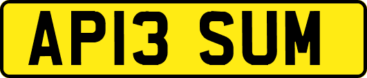 AP13SUM