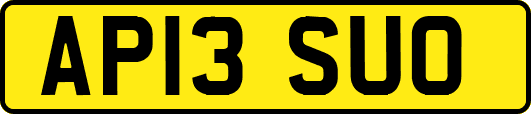 AP13SUO