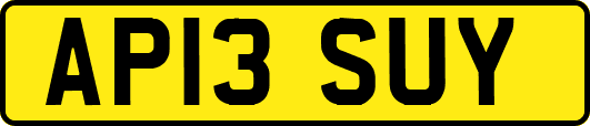 AP13SUY