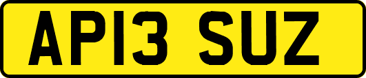 AP13SUZ