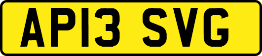 AP13SVG