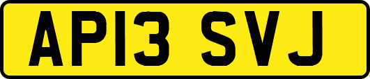 AP13SVJ