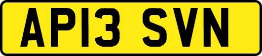 AP13SVN