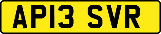 AP13SVR