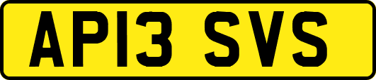AP13SVS