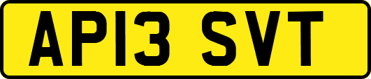 AP13SVT