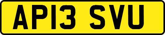 AP13SVU