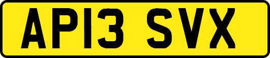 AP13SVX