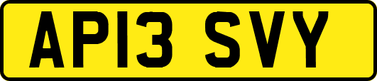 AP13SVY