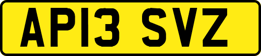 AP13SVZ