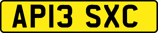 AP13SXC