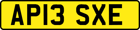 AP13SXE