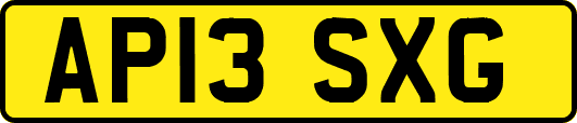AP13SXG