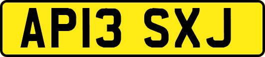 AP13SXJ